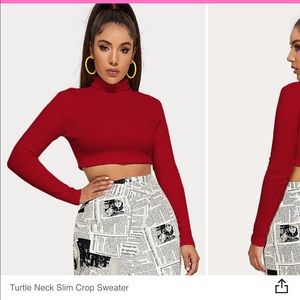 Turtle Neck Slim Crop Sweater